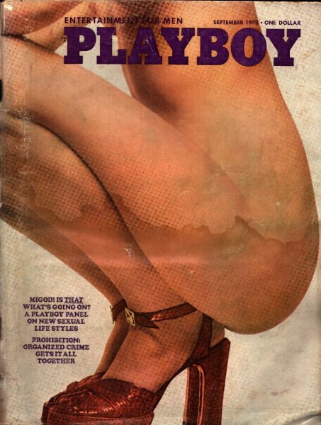 Playboy Magazine, Volume 20, Issue 9, Ariel Jones Cover, Geri Glass Centerfold, 26M-0022